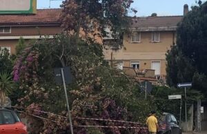 Lavinio, un grosso albero giace da diversi giorni sopra il marciapiede