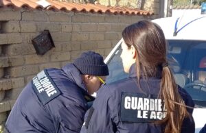 Cane senza vita in via delle Grugnole: interviene la Protezione civile “Le Aquile”