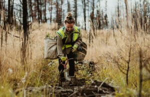 Dopo 20 mesi, l’Unione Europea approva la legge sul ripristino della natura