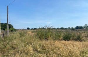 Fertilizzanti sparsi su terreni a ridosso delle abitazioni, protestano i residenti di via Chiavari a Sandalo