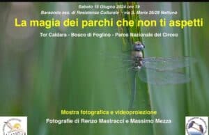 Nettuno, la magia dei parchi con le foto e il video di Renzo Mastracci