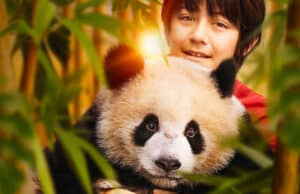 La programmazione settimanale dei cinema fino al 23 aprile
