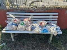 Cittadino regala limoni in via Torre del Monumento nella zona del quartiere Cadolino, a Nettuno.