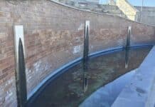 Anzio, ninfee danneggiate e pesciolini rubati nella vasca della fontana dell’Acqua del Turco